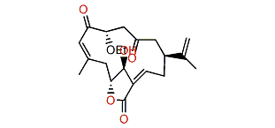Leptocladolide A